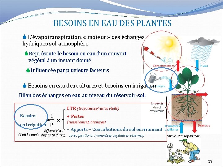 BESOINS EN EAU DES PLANTES L’évapotranspiration, « moteur » des échanges hydriques sol-atmosphère Représente