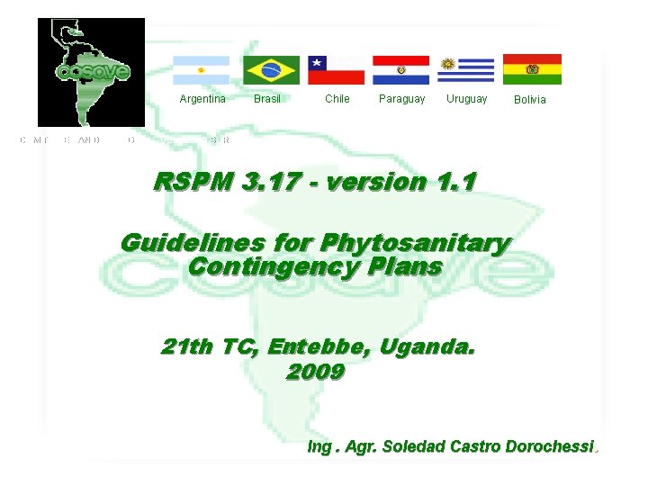 Argentina Brasil Chile Paraguay Uruguay Bolivia COMITE DE SANIDAD VEGETAL DEL CONO SUR RSPM