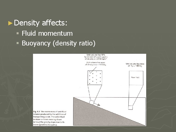 ► Density affects: § Fluid momentum § Buoyancy (density ratio) 