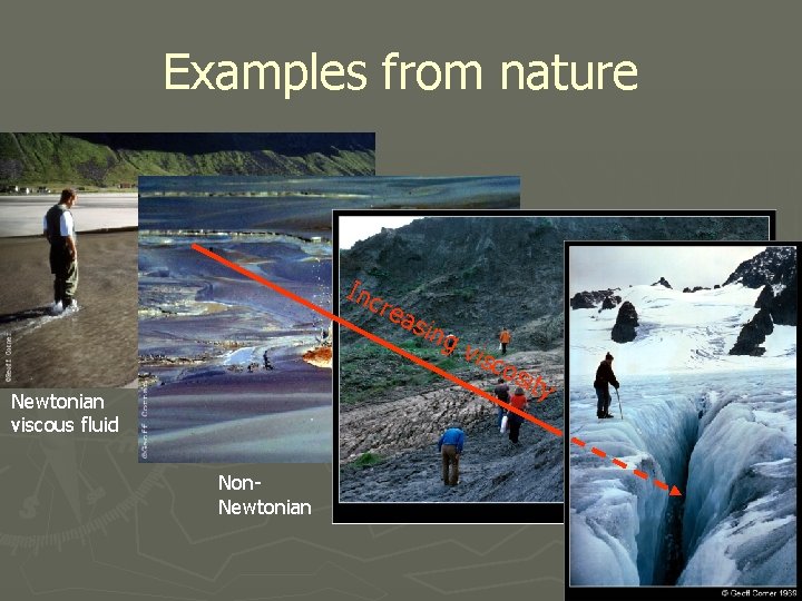 Examples from nature Inc Newtonian viscous fluid Non. Newtonian rea s ing vis cos