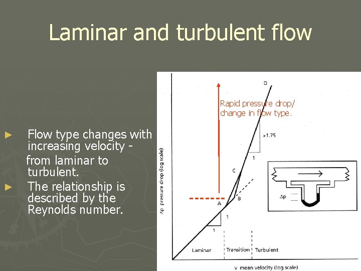 Laminar and turbulent flow Rapid pressure drop/ change in flow type. ► ► Flow