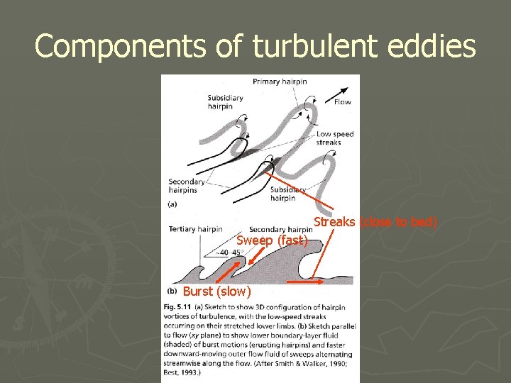 Components of turbulent eddies Streaks (close to bed) Sweep (fast) Burst (slow) 