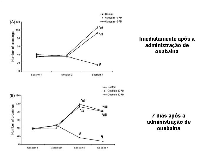 Imediatamente após a administração de ouabaína 7 dias após a administração de ouabaína 