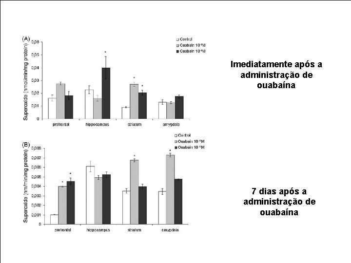 Imediatamente após a administração de ouabaína 7 dias após a administração de ouabaína 