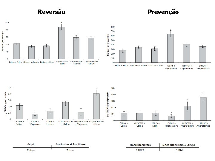 Reversão Prevenção 