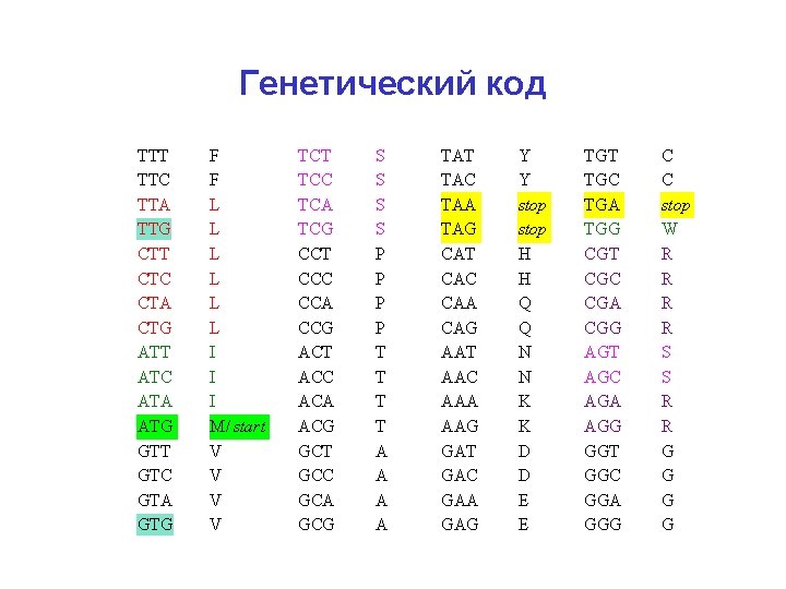 Генетический код TTT TTC TTA TTG CTT CTC CTA CTG ATT ATC ATA ATG