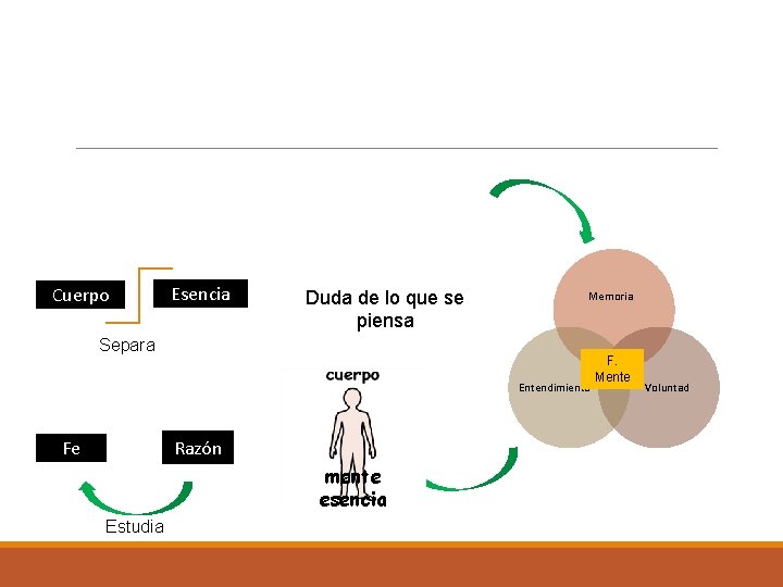 Cuerpo Esencia Duda de lo que se piensa Memoria Separa Entendimiento Razón Fe mente