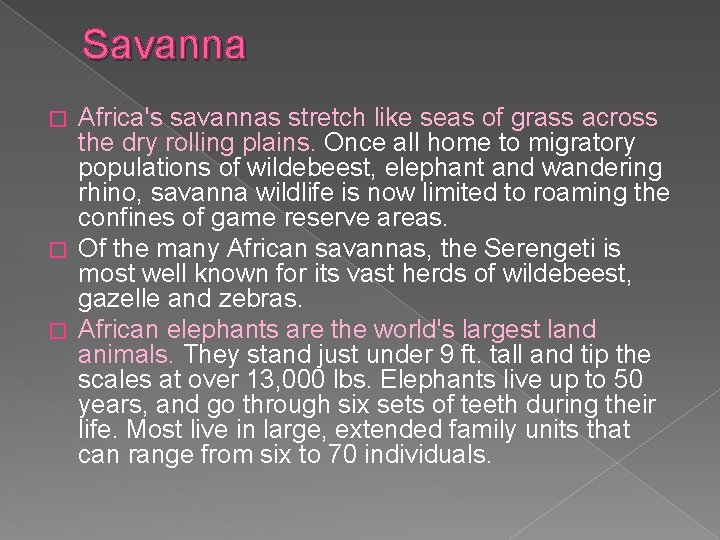 Savanna Africa's savannas stretch like seas of grass across the dry rolling plains. Once