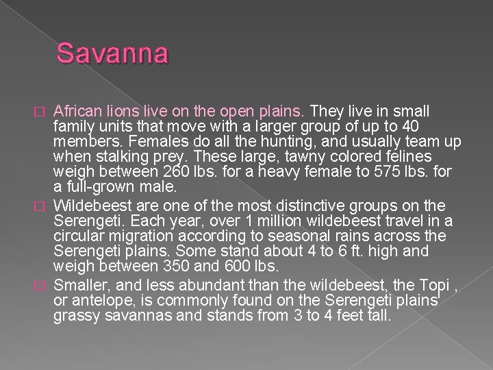 Savanna African lions live on the open plains. They live in small family units