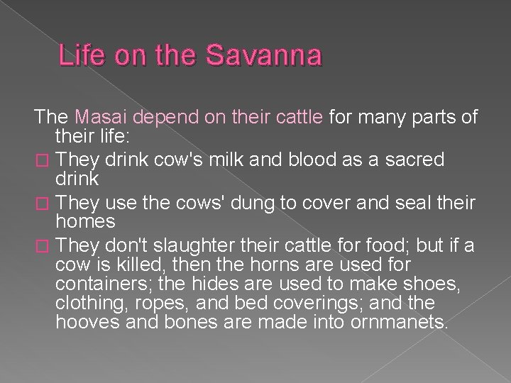 Life on the Savanna The Masai depend on their cattle for many parts of