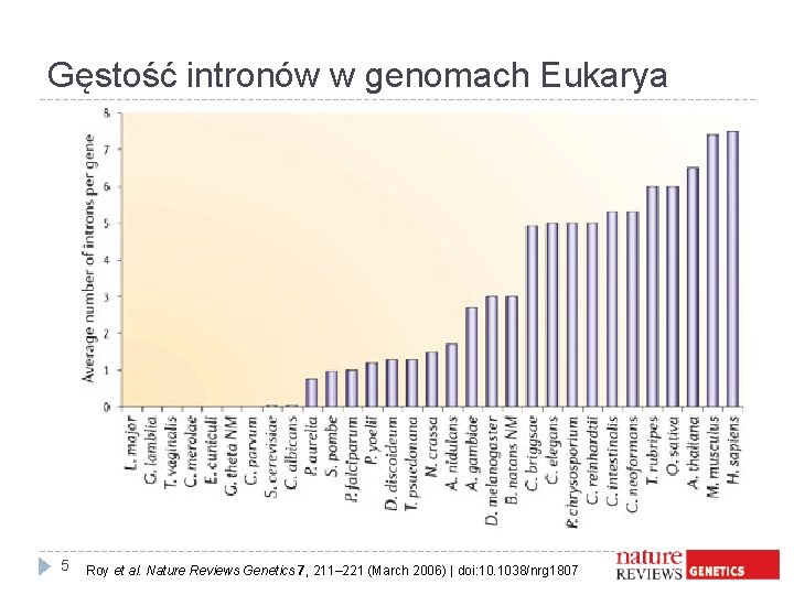 Gęstość intronów w genomach Eukarya 5 Roy et al. Nature Reviews Genetics 7, 211–