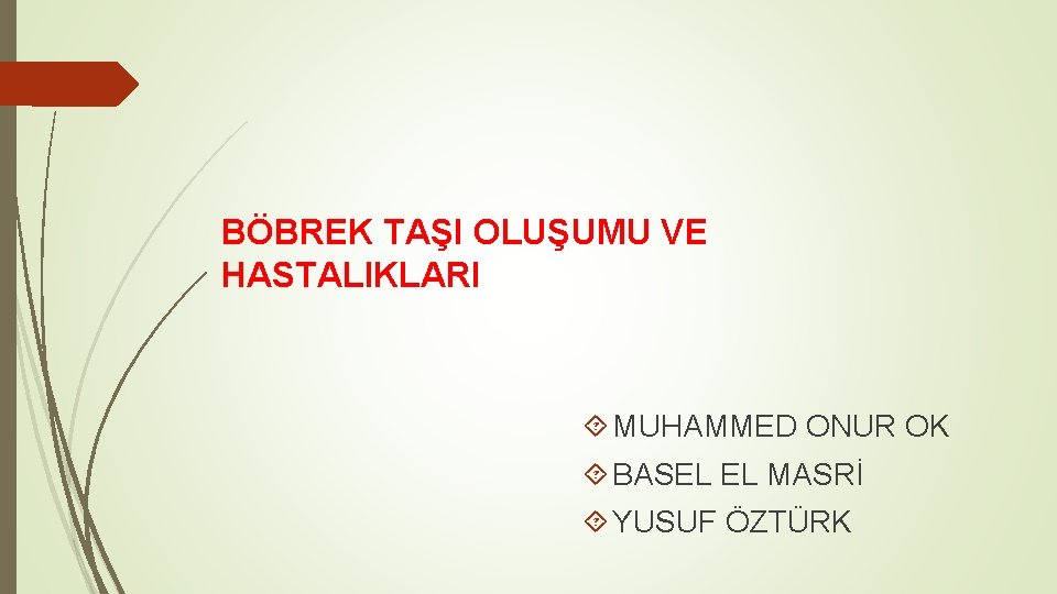 BÖBREK TAŞI OLUŞUMU VE HASTALIKLARI MUHAMMED ONUR OK BASEL EL MASRİ YUSUF ÖZTÜRK 