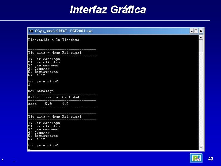 Interfaz Gráfica • _ 43 
