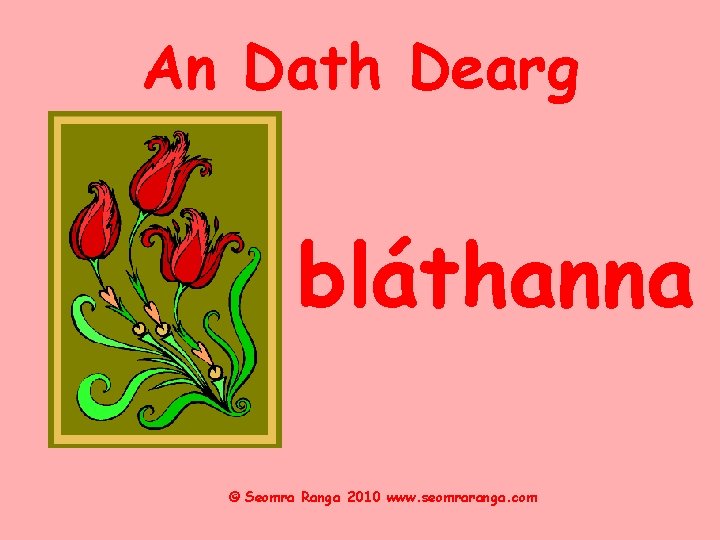 An Dath Dearg bláthanna © Seomra Ranga 2010 www. seomraranga. com 