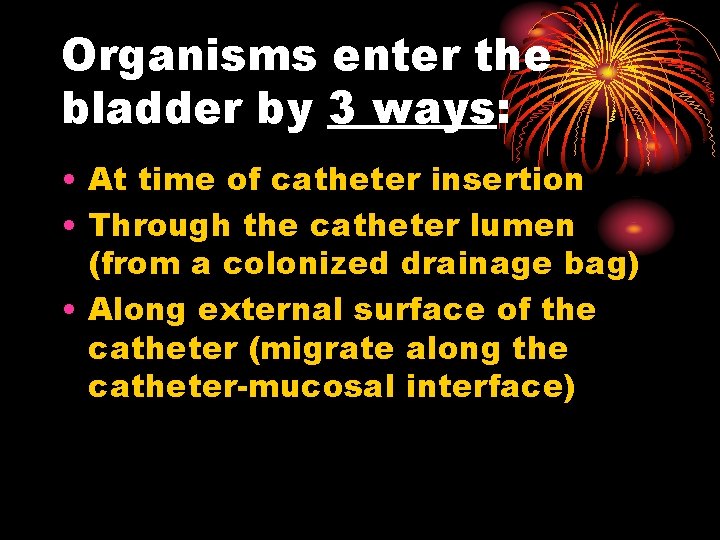 Organisms enter the bladder by 3 ways: • At time of catheter insertion •