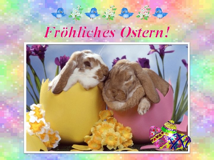 Fröhliches Ostern! 