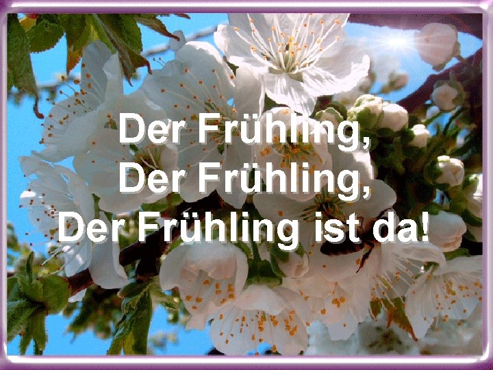 Der Frühling, Der Frühling ist da! 