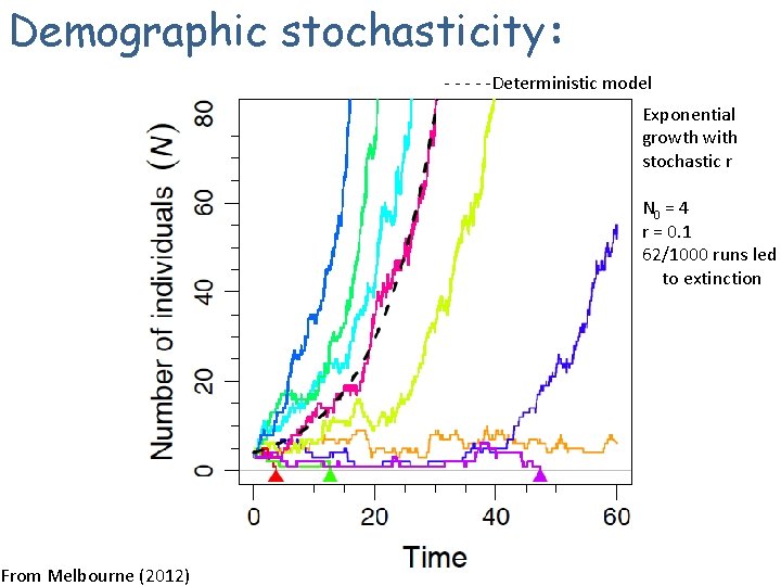 Demographic stochasticity: - - -Deterministic model Exponential growth with stochastic r N 0 =