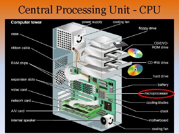 Central Processing Unit - CPU 