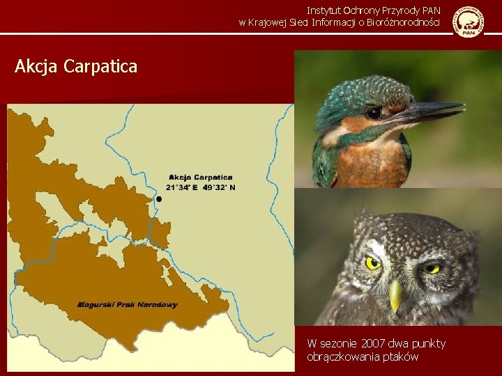 Instytut Ochrony Przyrody PAN w Krajowej Sieci Informacji o Bioróżnorodności Akcja Carpatica W sezonie