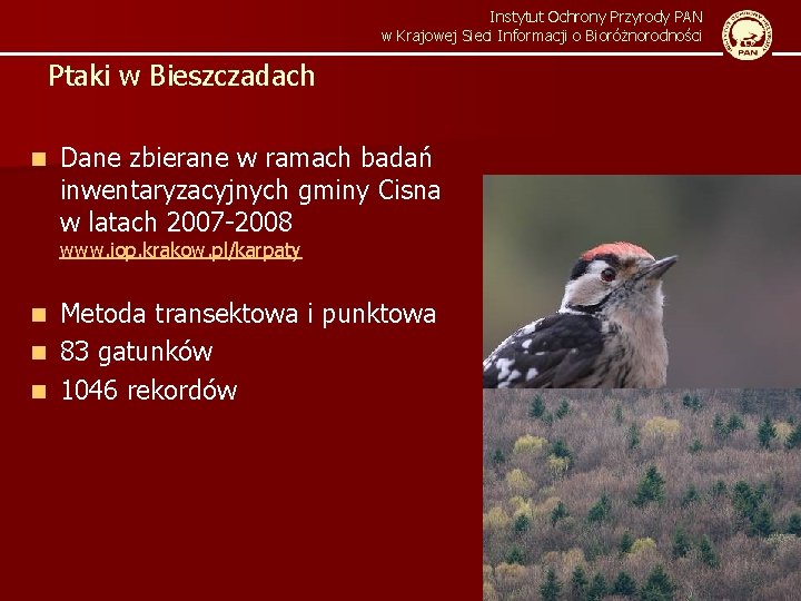 Instytut Ochrony Przyrody PAN w Krajowej Sieci Informacji o Bioróżnorodności Ptaki w Bieszczadach n