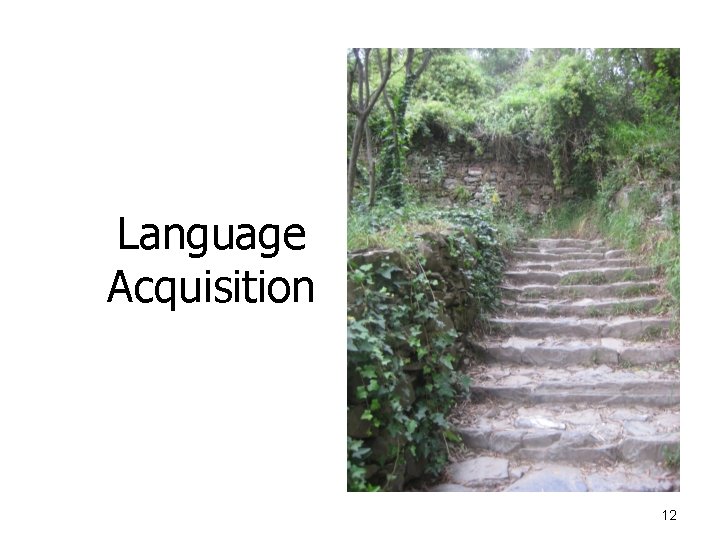 Language Acquisition 12 