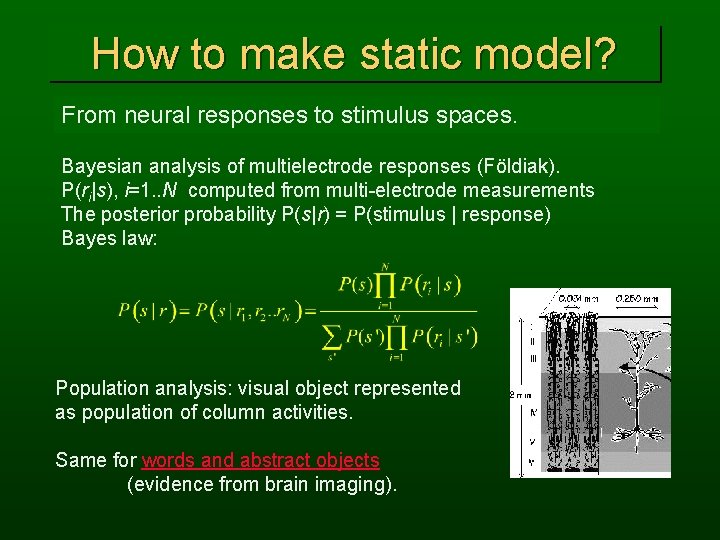 How to make static model? From neural responses to stimulus spaces. Bayesian analysis of