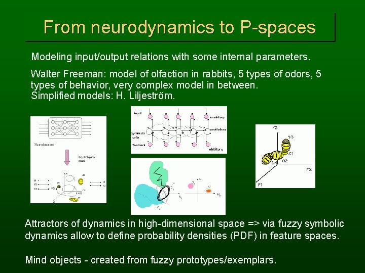 From neurodynamics to P-spaces Modeling input/output relations with some internal parameters. Walter Freeman: model