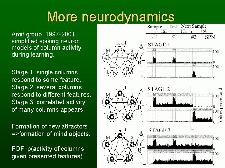 More neurodynamics Amit group, 1997 -2001, simplified spiking neuron models of column activity during