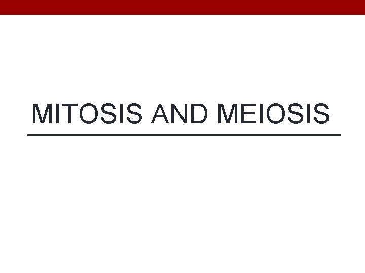 MITOSIS AND MEIOSIS 