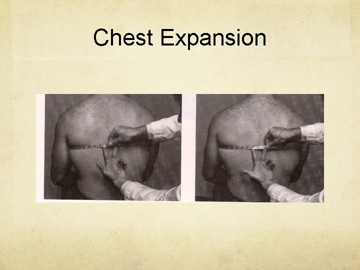 Chest Expansion 