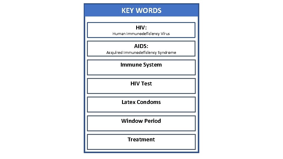 KEY WORDS HIV: Human Immunodeficiency Virus AIDS: Acquired Immunodeficiency Syndrome Immune System HIV Test