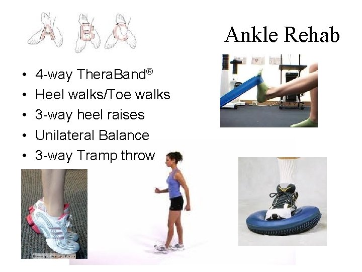 Ankle Rehab • • • 4 -way Thera. Band® Heel walks/Toe walks 3 -way