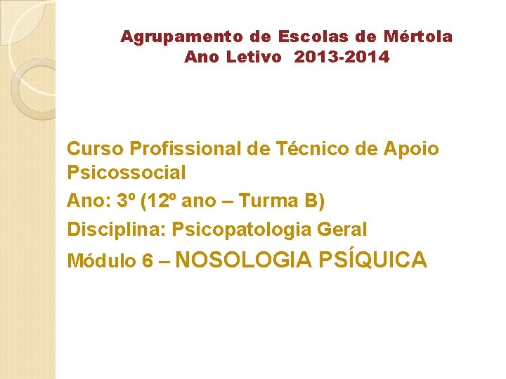 Agrupamento de Escolas de Mértola Ano Letivo 2013 -2014 Curso Profissional de Técnico de