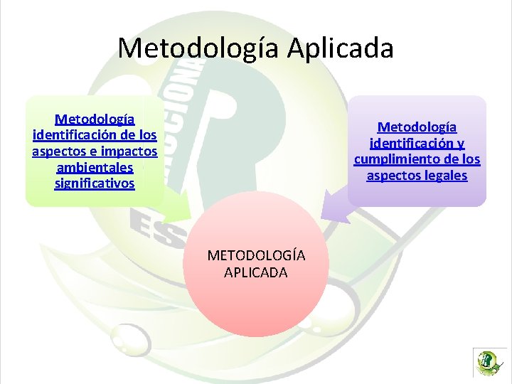 Metodología Aplicada Metodología identificación de los aspectos e impactos ambientales significativos Metodología identificación y