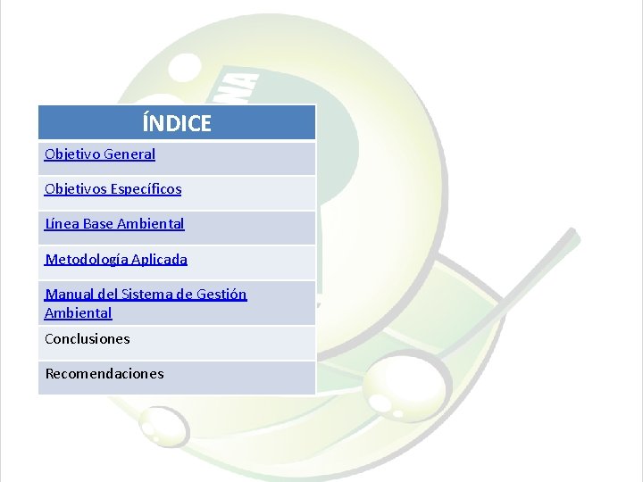 ÍNDICE Objetivo General Objetivos Específicos Línea Base Ambiental Metodología Aplicada Manual del Sistema de