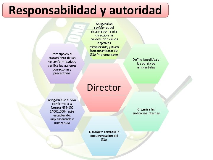 Responsabilidad y autoridad Participa en el tratamiento de las no conformidades y verifica las