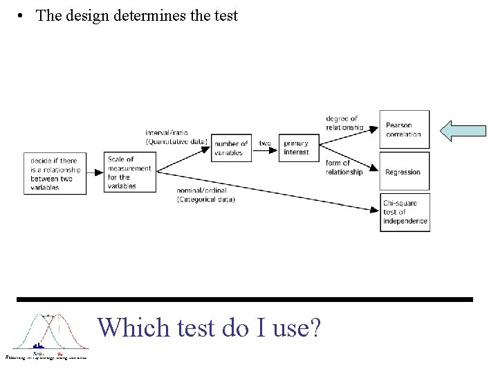  • The design determines the test Which test do I use? Reasoning in
