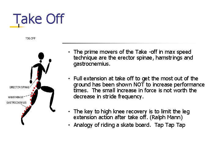 Take Off • The prime movers of the Take -off in max speed technique