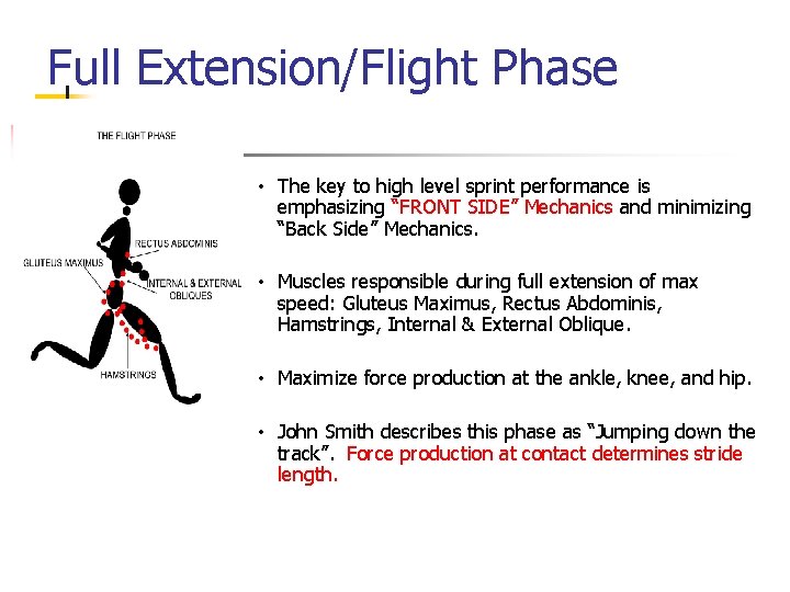Full Extension/Flight Phase • The key to high level sprint performance is emphasizing “FRONT