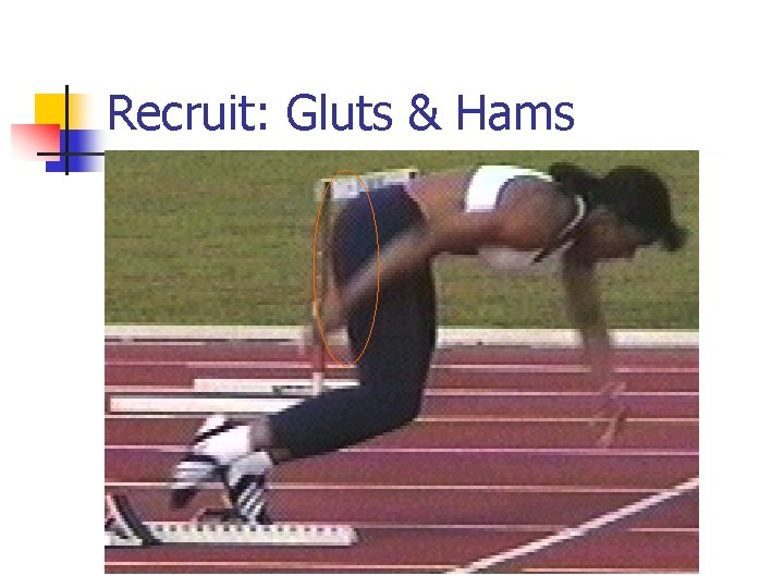 Recruit: Gluts & Hams 