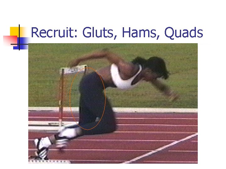 Recruit: Gluts, Hams, Quads 