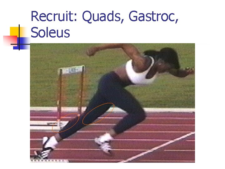 Recruit: Quads, Gastroc, Soleus 