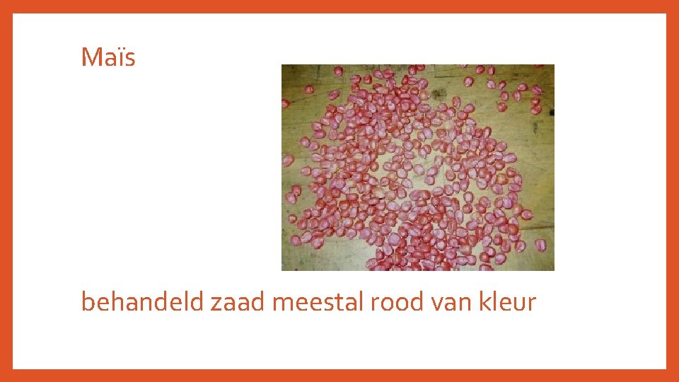 Maïs behandeld zaad meestal rood van kleur 