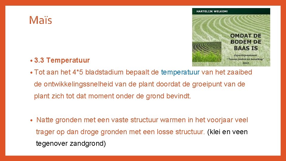 Maïs • 3. 3 Temperatuur • Tot aan het 4*5 bladstadium bepaalt de temperatuur