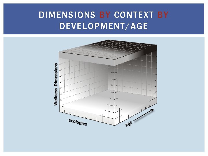 DIMENSIONS BY CONTEXT BY DEVELOPMENT/AGE 