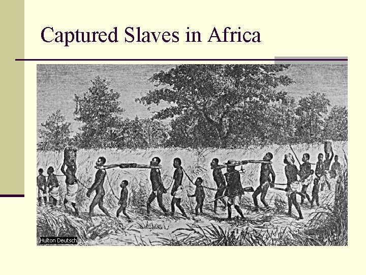 Captured Slaves in Africa 