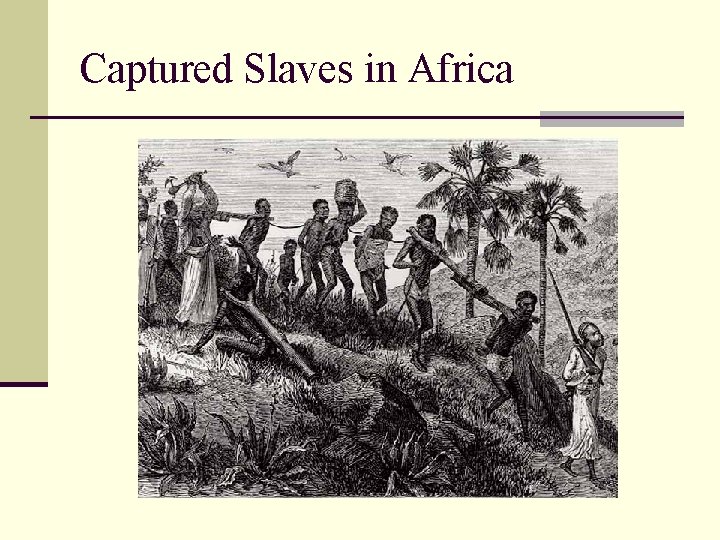 Captured Slaves in Africa 