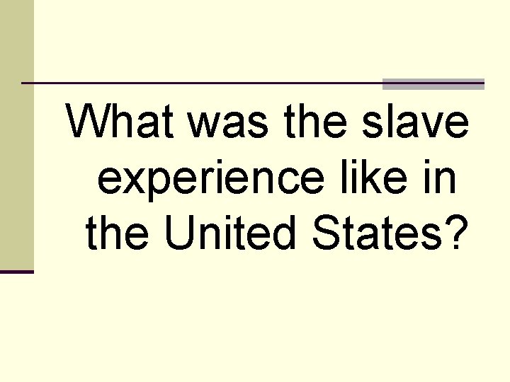 What was the slave experience like in the United States? 