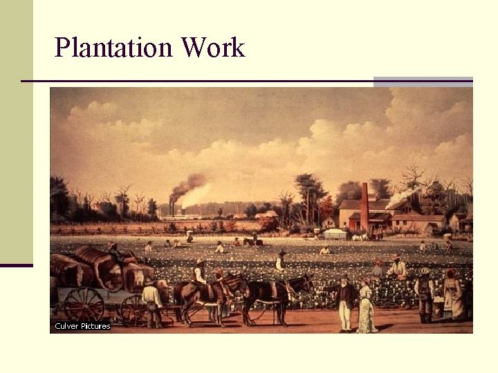 Plantation Work 